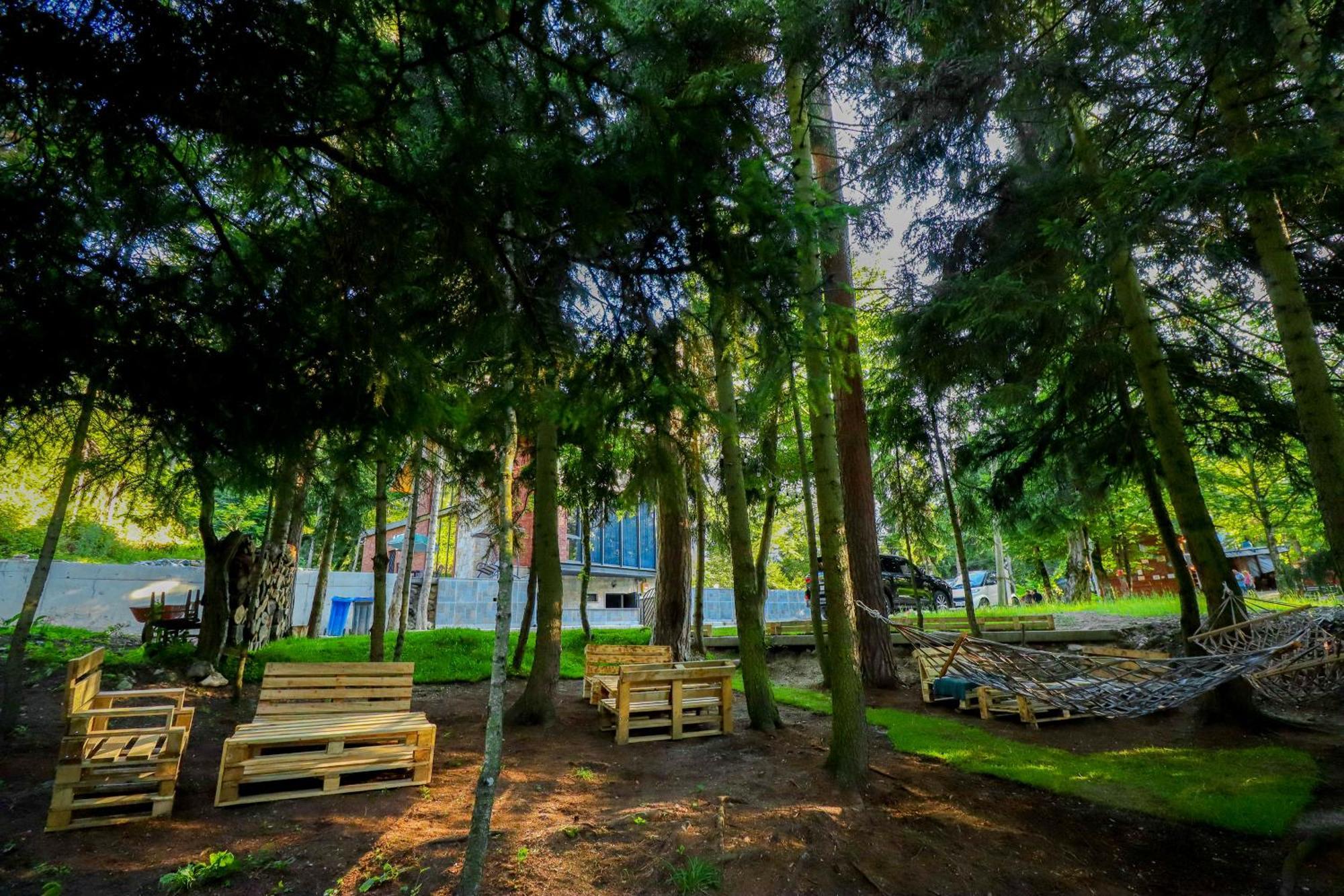 Hotel Evergreen Borjomi Eksteriør bilde